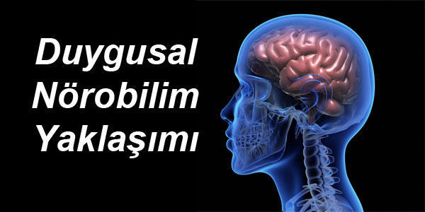 duygu
