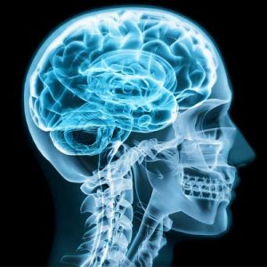 Duygusal Zeka Nedir? 2 duygusal zeka