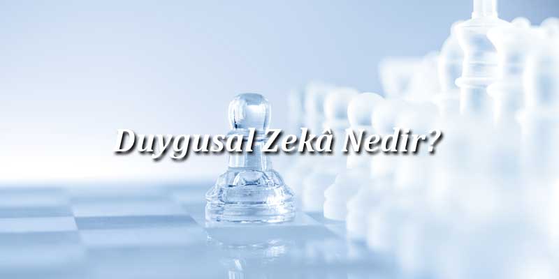 Duygusal Zekâ Nedir?