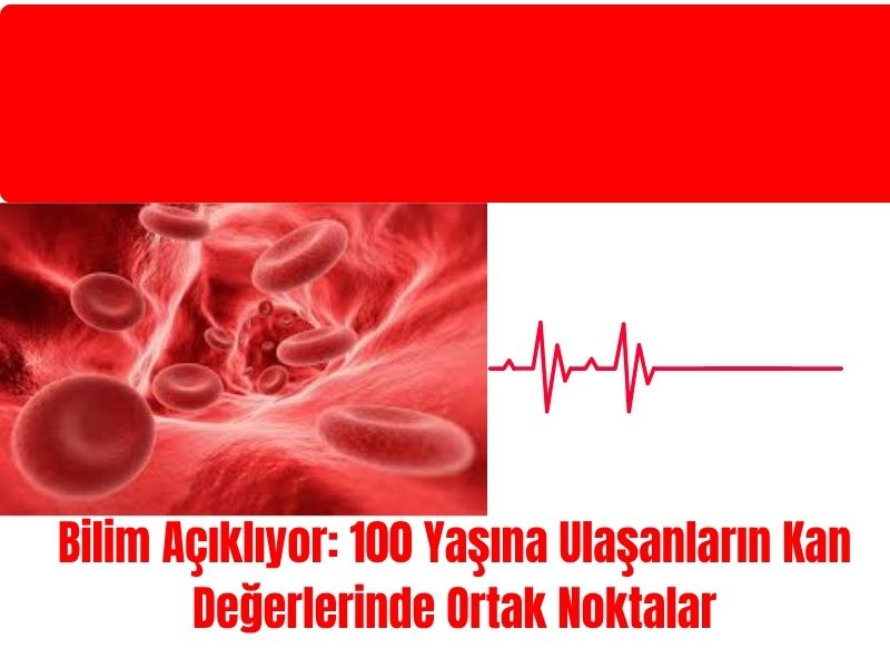Bilim Açıklıyor: 100 Yaşına Ulaşanların Kan Değerlerinde Ortak Noktalar 2 Bilim Açıklıyor: 100 Yaşına Ulaşanların Kan Değerlerinde Ortak Noktalar