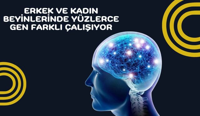 Erkek ve Kadın Beyinlerinde Yüzlerce Gen Farklı Çalışıyor