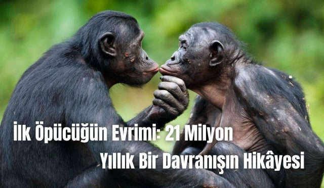 İlk Öpücüğün Evrimi 21 Milyon