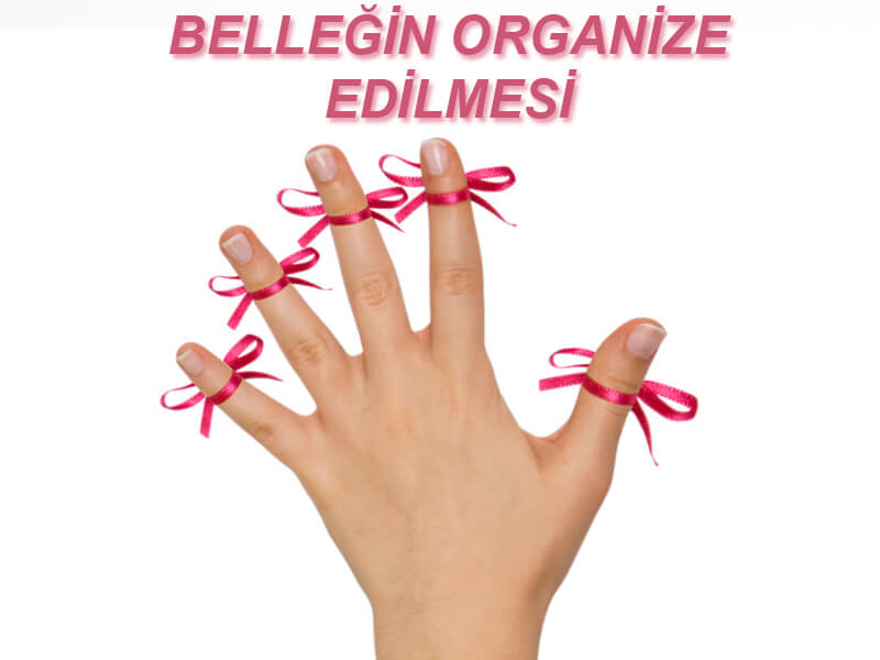 Neden Unutuyoruz? Hatırlama ve Unutma Nedenleri Nelerdir? 1 Belleğin Organize Edilmesi