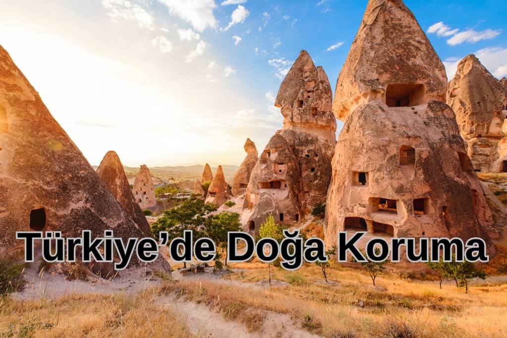 Doğa Koruma