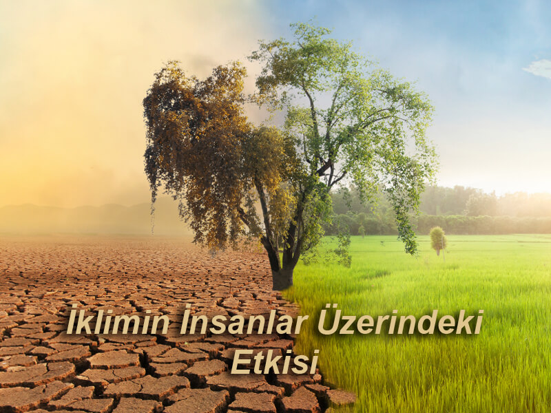 İbn-i Haldun'un İnsan ve Toplum Çeşitleri Hakkında Tespitleri 1 İklimin İnsanlar Üzerindeki Etkisi