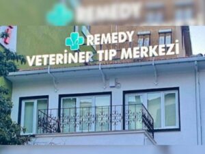 Nöbetçi Veteriner Seçme Rehberi 4 Nöbetçi Veteriner Seçme Rehberi 4
