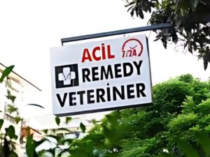 Nöbetçi Veteriner Seçme Rehberi 3 Nöbetçi Veteriner Seçme Rehberi 3