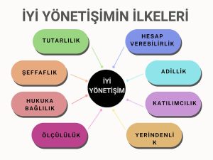 Yönetişim Türleri 1 Yönetişim ilkeleri