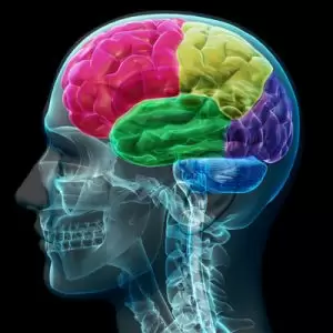 Alzheimer hastalığı 4 Alzheimer hastalığı 4
