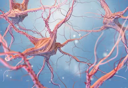 Alzheimer hastalığı 2 Alzheimer hastalığı 2