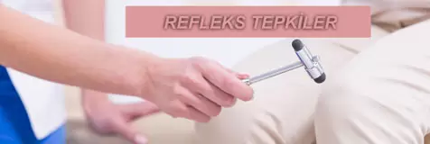 Alzheimer hastalığı 3 Alzheimer hastalığı 3